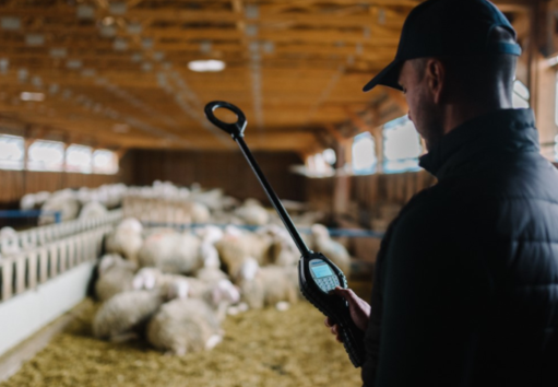 Εικόνα άρθρου proud farm
