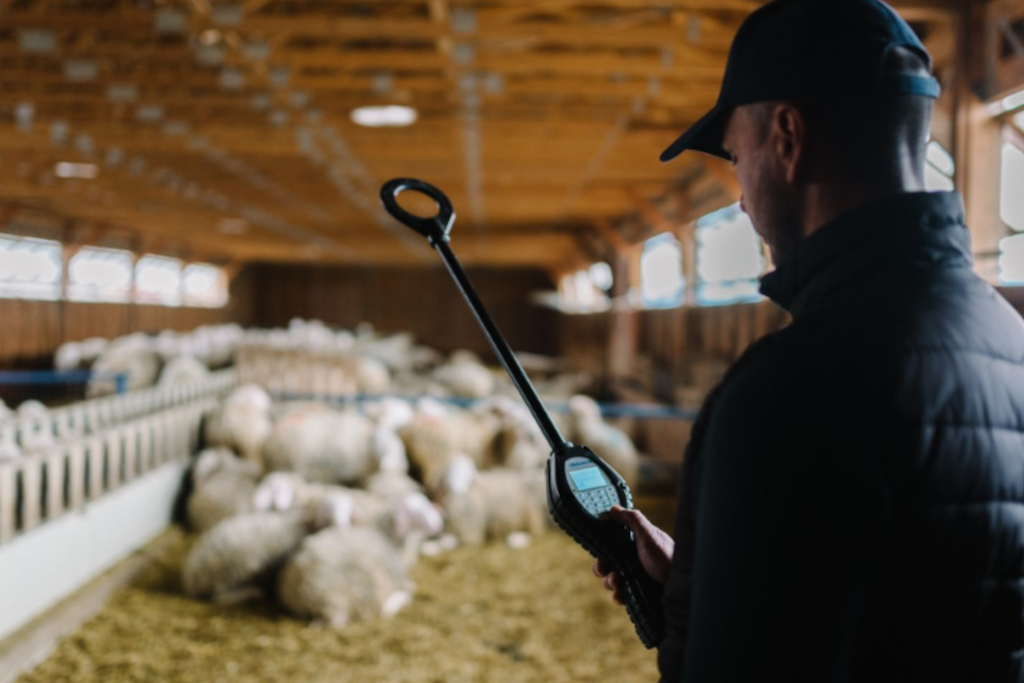 Εικόνα άρθρου proud farm