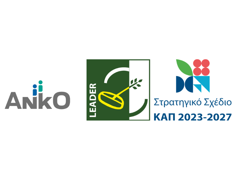 anko_leader