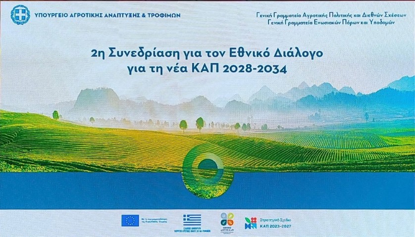 kap-metsovo (Small)