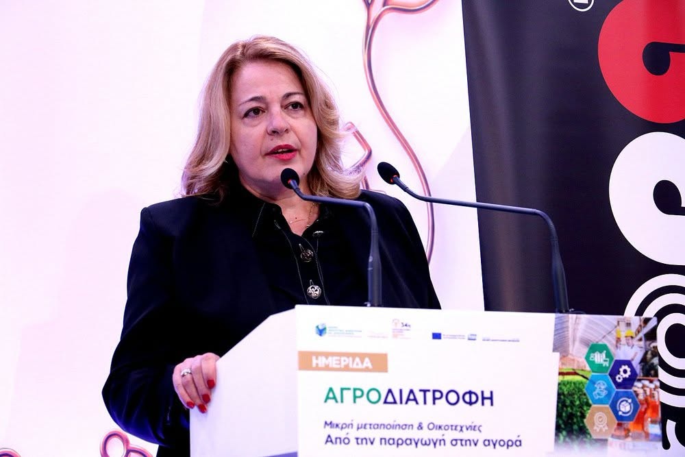 ΑΝΚΟ_ΕΚΘΕΣΗ1h